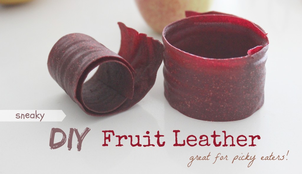 Sneaky DIY Fruit Leather - Great for picky eaters!