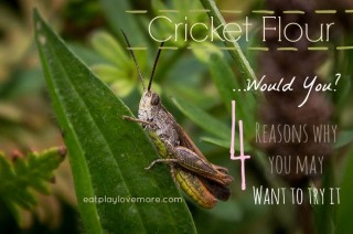 Cricket Flour - 4 Reasons why you may wanna try it
